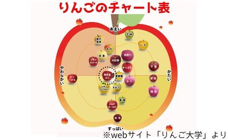 【 9月・10月発送 】 贈答用 早生ふじ 約 5kg 【 青森県鶴田町産 りんご 青森りんご 】果物類 フルーツ 林檎 リンゴ 鶴田町 青森県 おやつ デザート