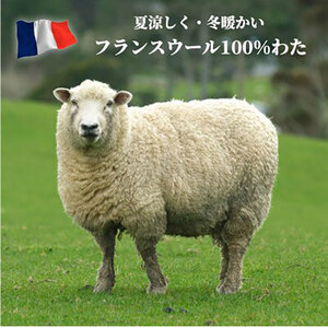 敷きパッド シングル 100×200cm ベージュ フランス ウール100% 羊毛 わた ベッドパッド ベッド パッド マット ベッドパット ベッドシート ベッドシーツ シーツ ウール 日本製 寝具 大阪府 岸和田市