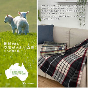 毛布 ハーフサイズ 90×140cm 2枚 ベージュ ＆ グリーン セット タスマニアラム ウール混毛布 ハーフケット ブランケット ひざ掛け ウール毛布 ハーフ ふわふわ 肌掛け 寝具 日本製 大阪府 岸和田市