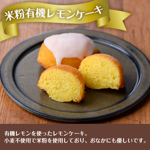 グルテンフリー 出水 焼き菓子 セット お菓子 スイーツ おやつ 【バースディ】 i1127