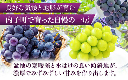 【先行予約】シャインマスカット・ピオーネのセット 約1kg BKAY012