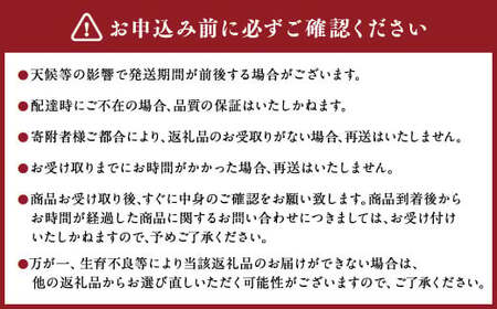 【6か月隔月定期便】旬の熊本フルーツ単品定期便 熊本県産 果物 毎月お届けギフト