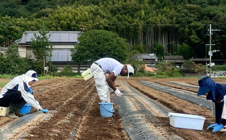 しらさぎファームの 黒にんにく 400g 黒にんにく BHBE001