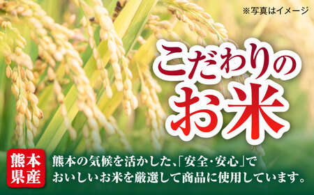 【全6回定期便】熊本県産 こだわり炒飯 肥後の鶏めし 計2.3kg(230g×10袋) 冷凍食品 炒飯[BHCS024]