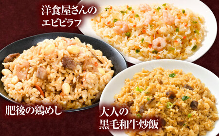 全6回定期 こだわり炒飯 バラエティセットA 計4.6kg(230g×20袋) チャーハン チャーハン BHCS036