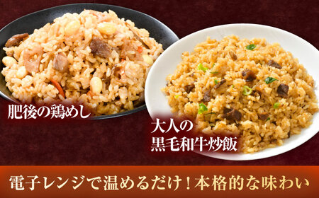 【全3回定期便】熊本県産 こだわり炒飯 バラエティセットB 計2.3kg (230g×10袋) 冷凍食品 炒飯[BHCS039]