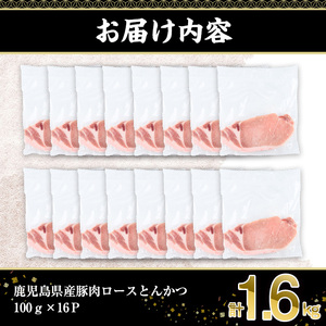 鹿児島県産 豚肉 ロース とんかつ 小分け (計1.6kg・100g×16P)【株式会社羽根】A722