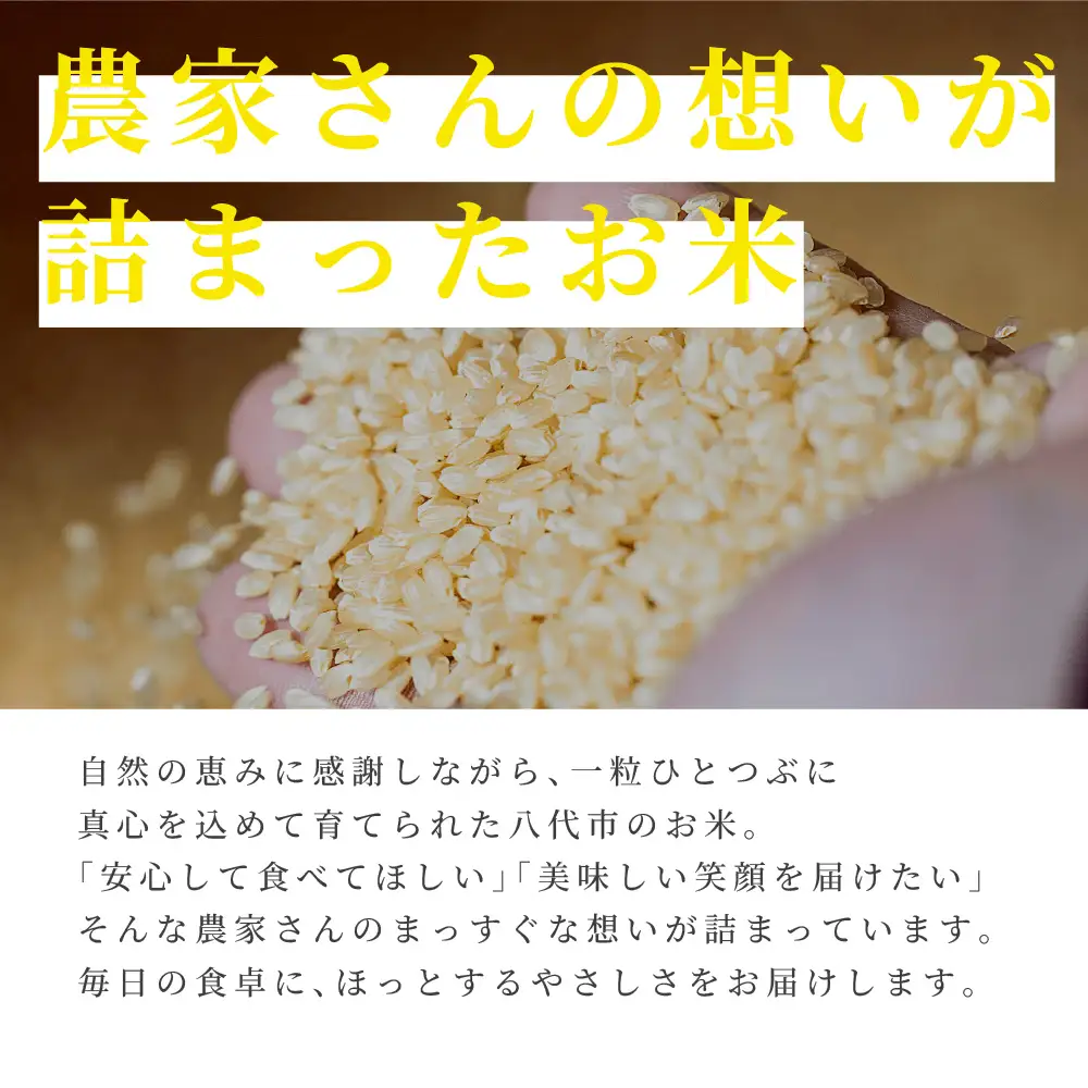 《令和7年産》 ヒノヒカリ 5kg×2袋 合計10kg 熊本県 八代市産 米 お米 精米 白米 国産