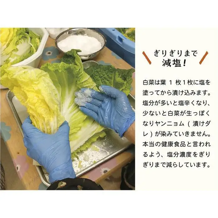 先行予約【2026年7月～順次配送】 [カット済み]筑北村 特産 西条白菜（夏白菜）のキムチ　松ちゃんキムチ工房の元（ゲン） キムチ 1kg（500g×2） | 惣菜 野菜 産直 産地直送 長野県 信州