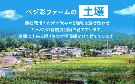 【全3回定期便】 米ぬかで育てた！旬のお野菜＆平飼い卵セット ベジ彩ファーム[AOEJ005] 野菜