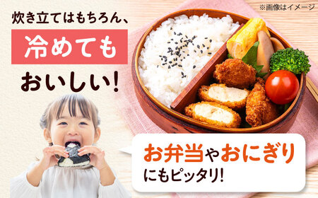 お米 令和7年産 キヌヒカリ 5キロ [AOEJ009] お米