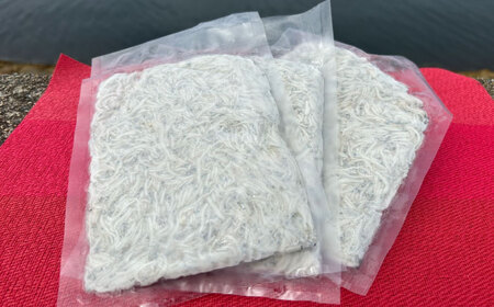 生しらす 100g×3個 しらす [XBY013]