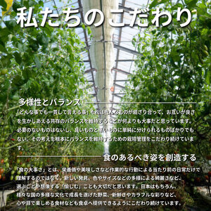 トマト ミニトマト 750g （ 250g × 3袋 ） フランティーノ アマイマリー チコ 小分け トマト トマト トマト