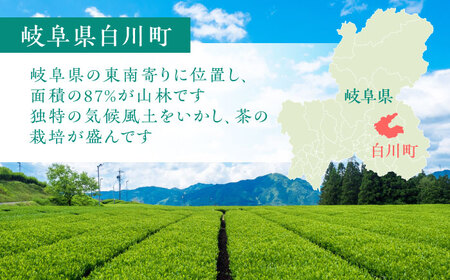 新茶 白川茶 3種セット 白川町 / 茶文[AWBU003]新茶