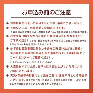 1015.【先行予約 2026年8月以降発送】 鳥取県北栄町から旬の美味しさをお届け！特産づくし【5回定期便】