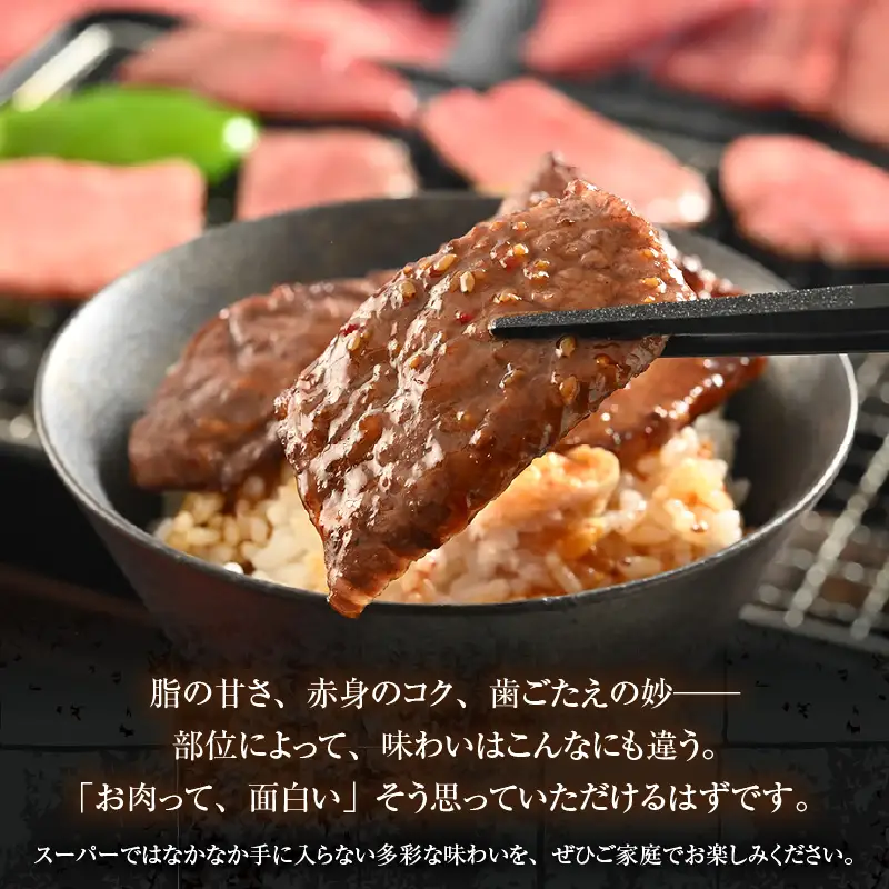 まるごと若狭牛！5部位お試し焼肉セット 300g（60g×5種）／ 焼肉 国産 ブランド牛 [aw009-a004]