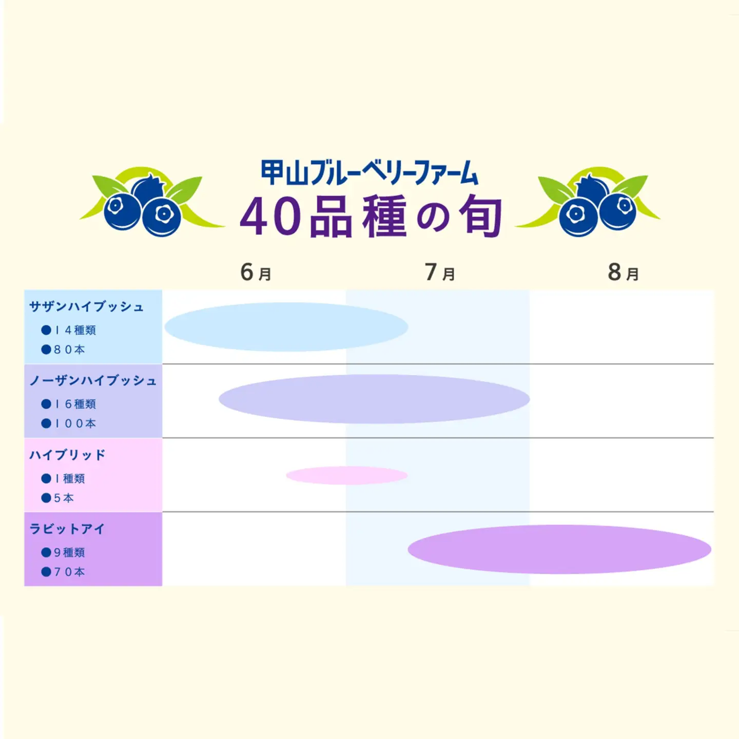 甲山ブルーベリーファーム ブルーベリー狩り入園券（大人2名ペア入園）