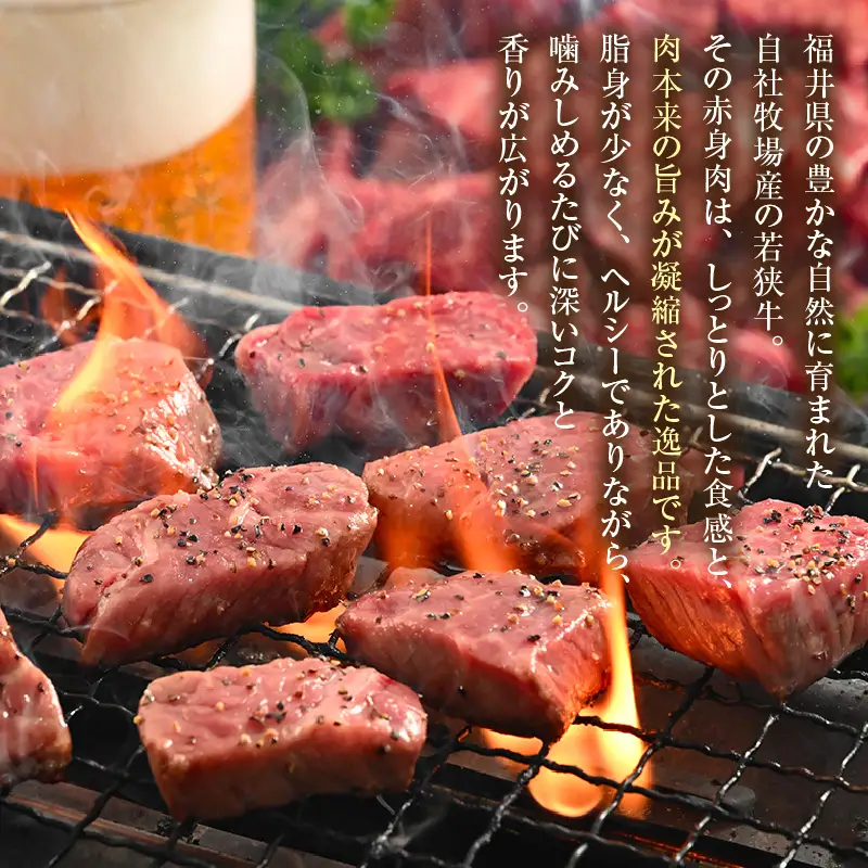 【訳あり】 若狭牛 赤身肉 500g（250g×2個）／ 焼肉 国産 ブランド牛 [aw009-a005]