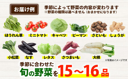 合志の旬のお野菜セット 15品から16品  野菜[AYAB112]