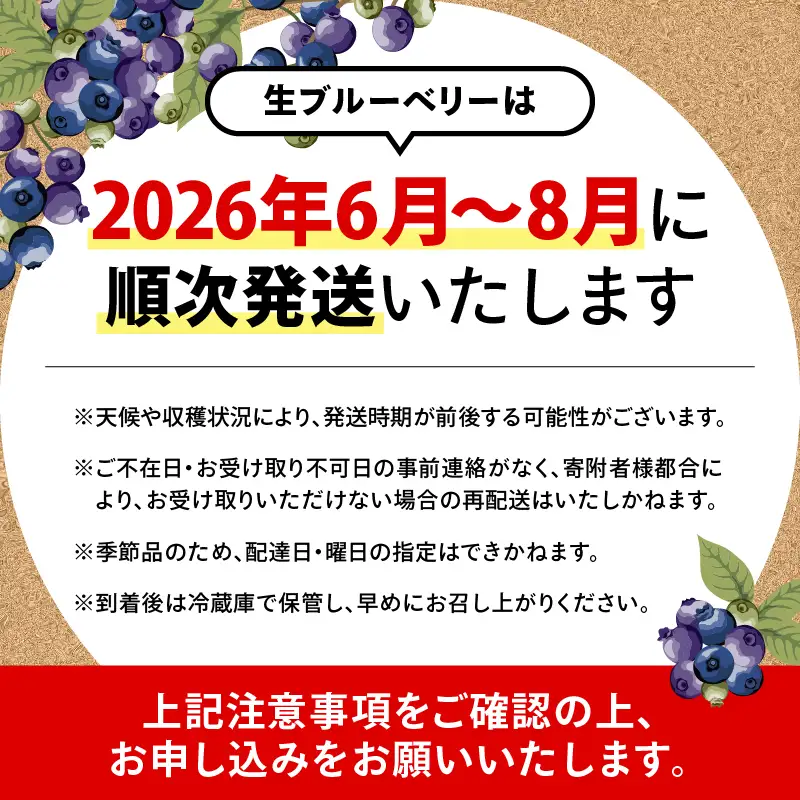 【 期間限定 】 【先行予約】1217-1 粒王 生 ブルーベリー 1.2kg（ 400g × 3P ） KN030-002-01 果物