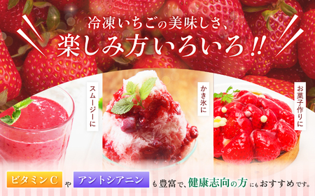 南信州産 冷凍 アルプス イチゴ 235g ～ 255g × 4袋 | 長野県 飯田市