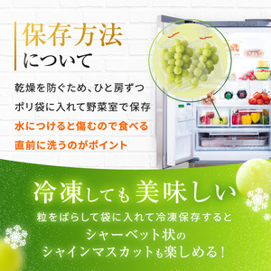 長野県産 シャインマスカット 秀品 約2kg〈2026年9月下旬～11月上旬発送〉| 長野県 飯田市