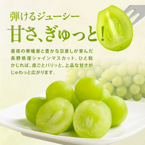 氷温貯蔵 長野県産 シャインマスカット 約2kg 秀品 〈2026年11月上旬～12月下旬発送〉| 長野県 飯田市