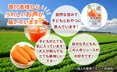 JAふらの 人参ジュース ［富良野にんじん100］(160ml×30缶セット) にんじんジュース 人参 にんじん 野菜 飲料 ジュース 野菜ジュース 野菜飲料 北海道 富良野 ふらの