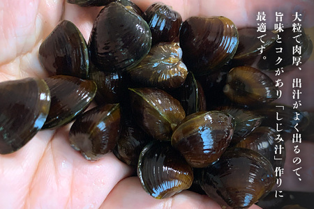 涸沼産 冷凍しじみ 大粒 1kg（200g×5p）【石岡市・水戸市共通返礼品】 しじみ シジミ 蜆 国産 小分け 砂抜き不要 冷凍 冷凍保存 海鮮 貝 魚貝類 魚介類 魚貝 魚介 味噌汁 みそ汁 酒蒸し おつまみ しじみ汁 C10-001