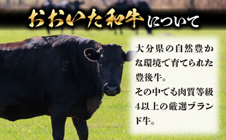 おおいた和牛贅沢メンチカツ(約100g×10個) 日田市 和牛 おおいた和牛 メンチカツ[ARFE004]