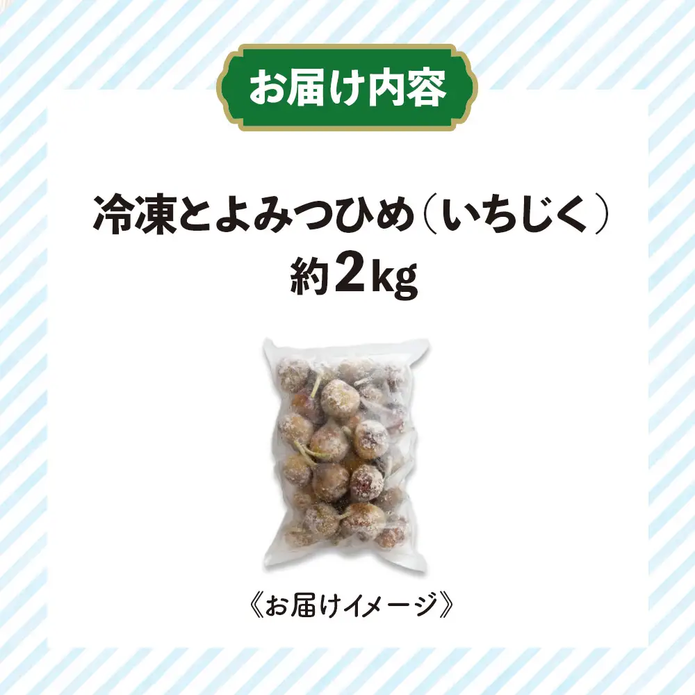 冷凍とよみつひめ（いちじく）約2kg いちじく とよみつひめ 冷凍 1kg 2袋 小分け クール便 冷凍配送 デザート シャーベット スムージー ジャム パン お菓子作り アレンジ デザート フルーツ 福岡県 八女市 072-308