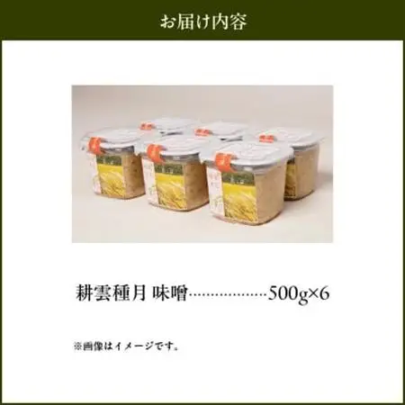 ヤマガミ「耕雲種月」味噌6個セット【1186223】
