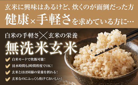 【6ヶ月定期便】熊本県産 肥後米 無洗米 玄米 20kg 1袋5kg 米 お米 令和7年産 九州産 熊本県産 ブレンド米 送料無料《お申込み翌月に出荷予定》玄米 無洗米 米