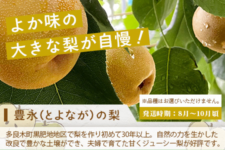 【フルーツ 定期便 3回】2026年発送分 メロン・桃・梨 旬 3回配送 数量限定 肥後グリーンメロン 球磨の桃 豊永の梨 フルーツ 果物 名産 熊本 多良木町 092-0506