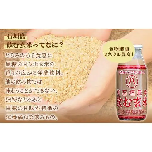 【定期便】飲む玄米12本セット×12回　HY-02t