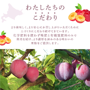 冷凍プラム 500g × 2パック 1kg 冷凍 プラム 果物 くだもの フルーツ 旬の果物 旬のフルーツ 大橋さくらんぼ園 果物類 フルーツ デザート 完熟 急速冷凍 新鮮 美味しい 人気 冷凍配送 北海道 芦別市