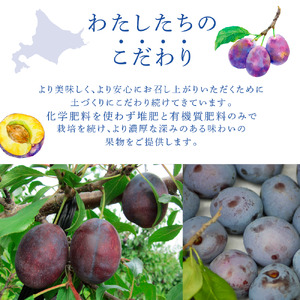 【訳アリ】  冷凍 プルーン 500g 大橋さくらんぼ園 果物 果物類 フルーツ デザート 完熟 急速冷凍 新鮮 美味しい 人気 冷凍配送 北海道 芦別市