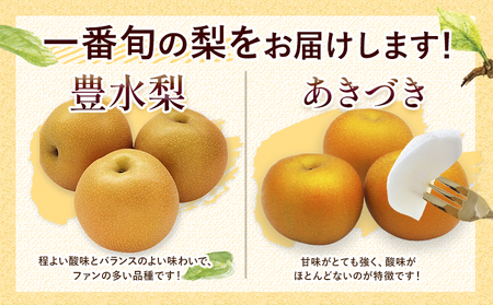 梨 吉野梨 約3kg 梨