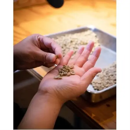 サーム23焙煎ドリップバッグ　アソート　ブレンド＆カフェインレス　10g×30袋　ハンドピック【1415795】