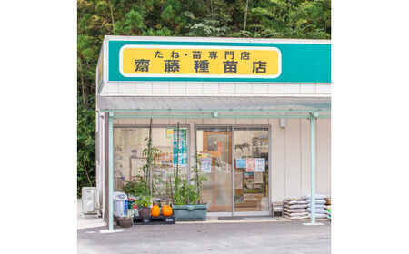 季節のおすすめ野菜おまかせ詰め合わせ12ヵ月定期便 8種～12種類【16105】