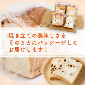 3回 定期便 レーズン食パン 海洋深層水食パン 4斤 [ロマンド 高知県 rm009]