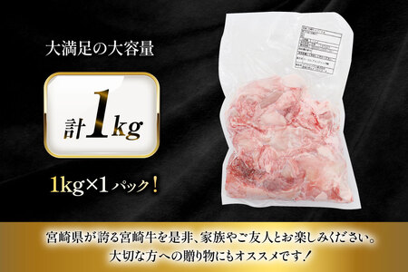 牛肉 宮崎牛 牛すじ 1kg [ローカルブランディング 宮崎県 日向市 452061404]