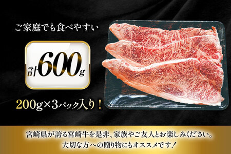 牛肉 宮崎牛 サーロイン ステーキ 200g 3枚 計600g [ローカルブランディング 宮崎県 日向市 452061528]