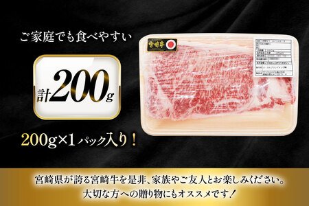 牛肉 宮崎牛 サーロイン ステーキ 200g 1枚 [ローカルブランディング 宮崎県 日向市 452061526]