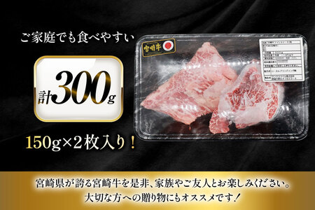 牛肉 宮崎牛 ヒレ ステーキ 150g 2枚 計300g [ローカルブランディング 宮崎県 日向市 452061397]