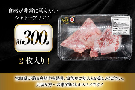 牛肉 宮崎牛 希少部位 シャトーブリアン 2枚 計300g [ローカルブランディング 宮崎県 日向市 452061396]