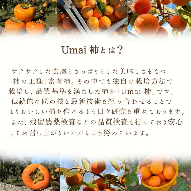 【先行予約】Umai 柿 富有 プレミアム 6玉 2.0kg ※2026年11月中旬～12月中旬頃に順次発送予定