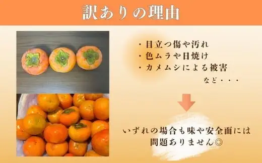 【先行予約】岐阜県瑞穂市産 訳あり富有柿 10kg ※2026年11月～発送