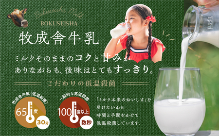 毎週定期便 12回 牛乳定期便 12回定期便 牧成舎のこだわり牛乳 定期便 