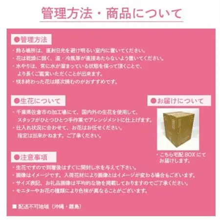 生花お任せアレンジメントL 白・ブルー系 お祝いやお誕生日におすすめ【配送不可地域：離島・沖縄県】【1636480】
